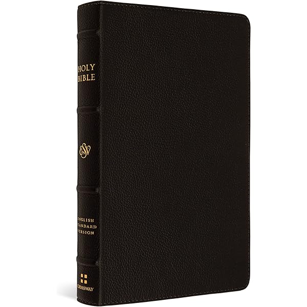 HOLY BIBLE 聖書（洋書） 聖書(新共同訳 NI65ZTIエンジ) 大型ジッパー・サムインデックス